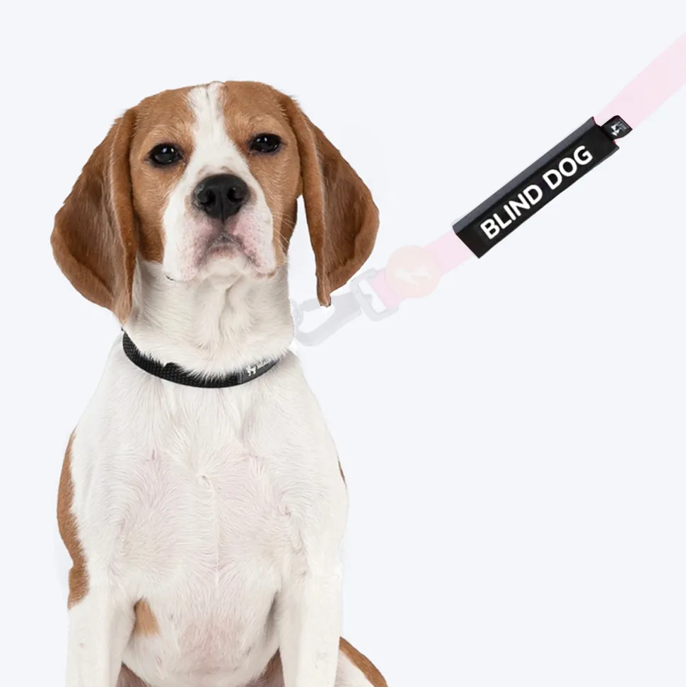 HUFT Trooper Walking Aid Leash & Collar Insert (Blind Dog)