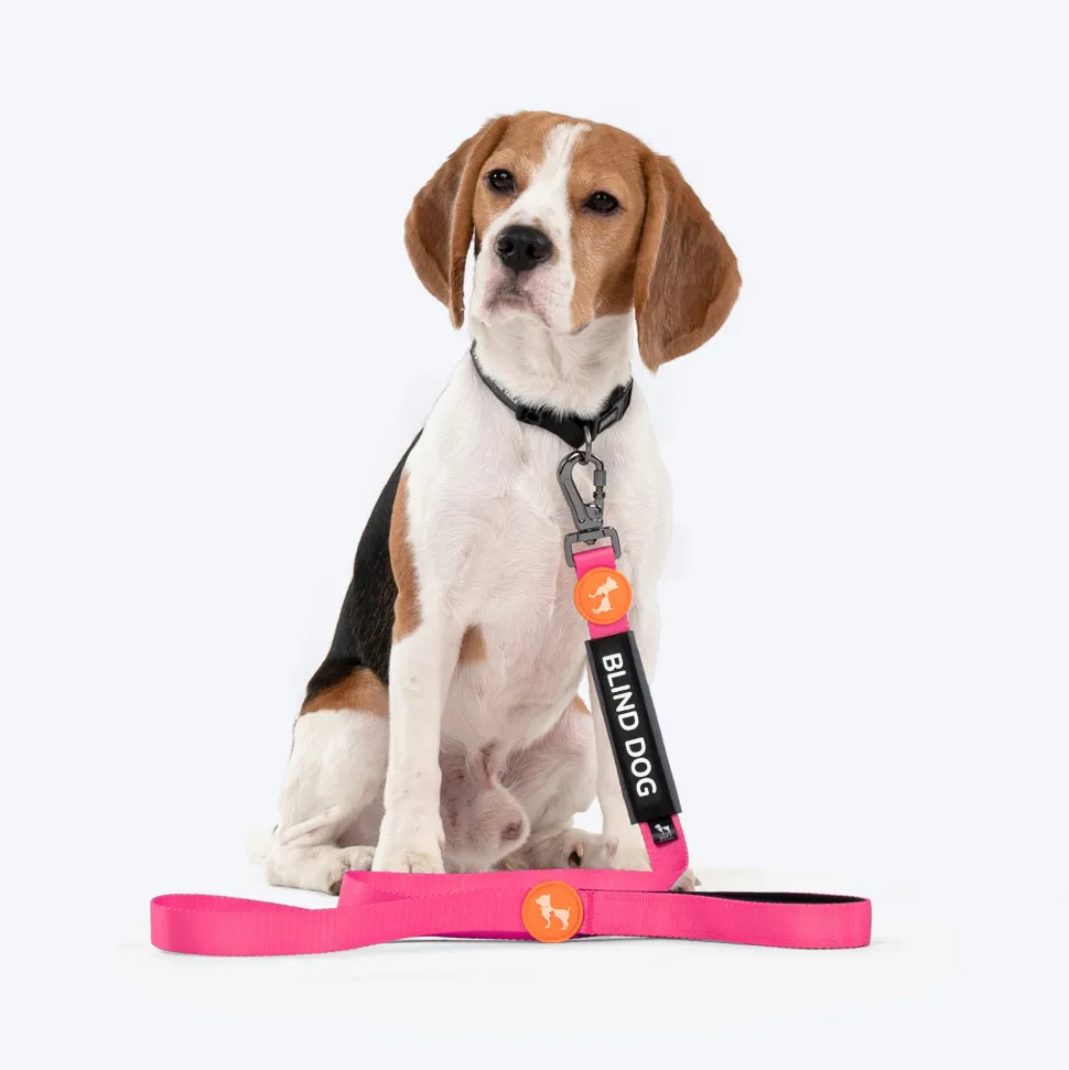 HUFT Trooper Walking Aid Leash & Collar Insert (Blind Dog)