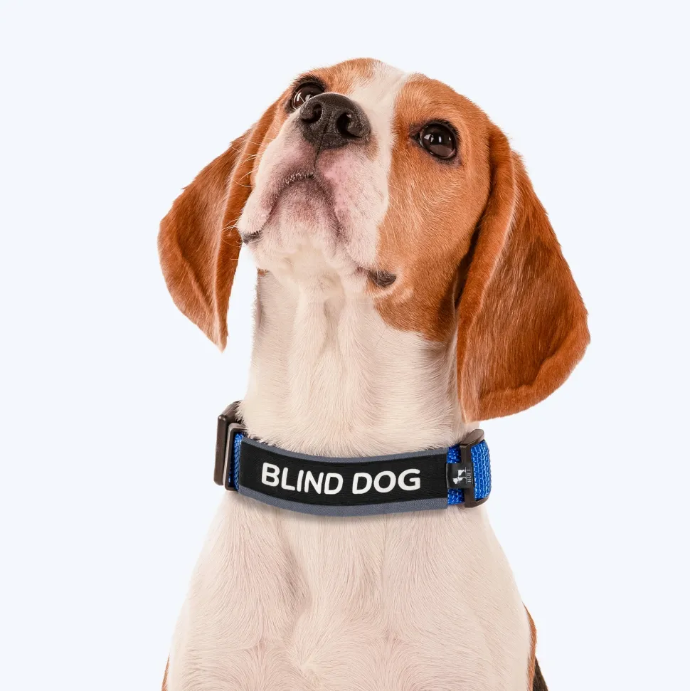 HUFT Trooper Walking Aid Leash & Collar Insert (Blind Dog)
