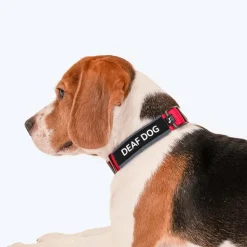 HUFT Trooper Walking Aid Leash & Collar Insert (Deaf Dog)