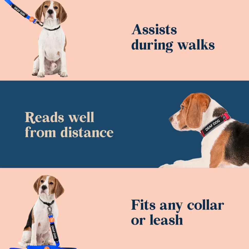HUFT Trooper Walking Aid Leash & Collar Insert (Deaf Dog)