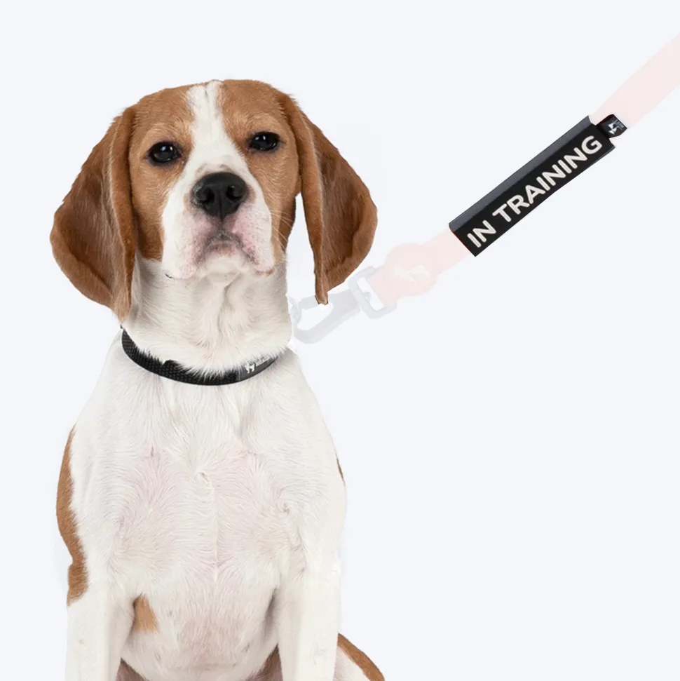 HUFT Trooper Walking Aid Leash & Collar Insert (In Training)