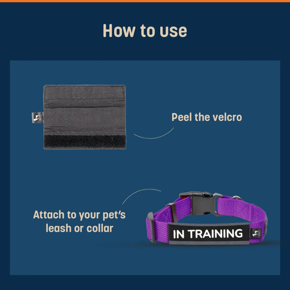 HUFT Trooper Walking Aid Leash & Collar Insert (In Training)