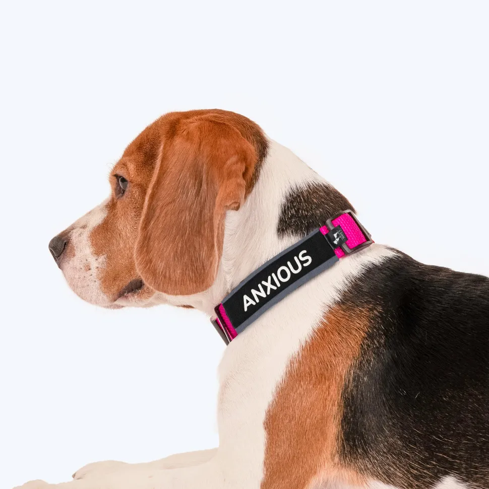 HUFT Trooper Walking Aid Leash & Collar Insert (Anxious)