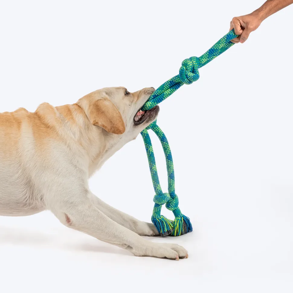 HUFT Tuggables Mighty Knots Rope Toy For Dog - Blue & Green