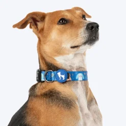 HUFT Twinkle Tails Collar For Dog - Blue