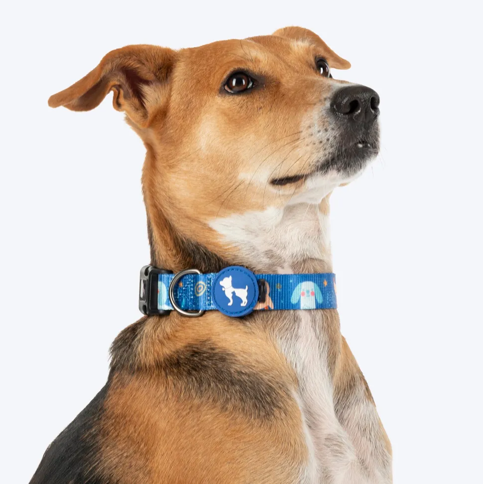 HUFT Twinkle Tails Collar For Dog - Blue