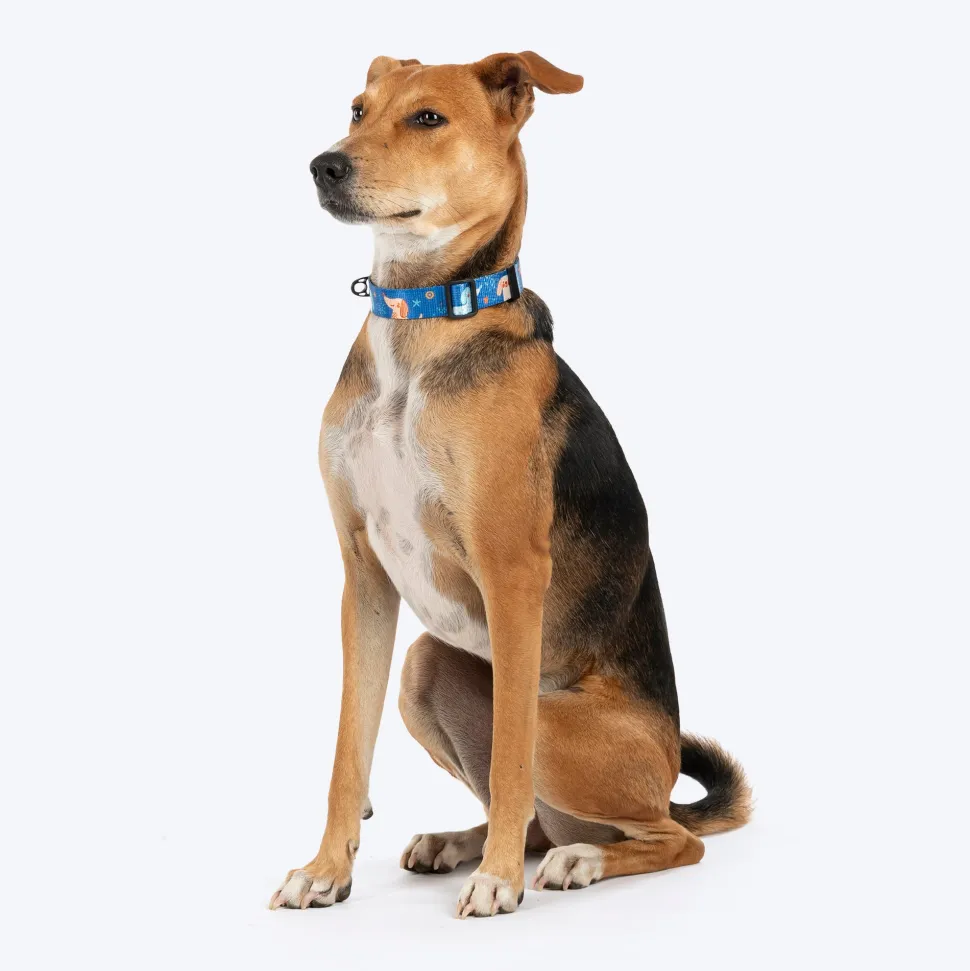 HUFT Twinkle Tails Collar For Dog - Blue