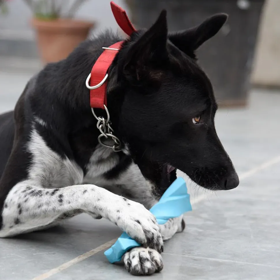 HUFT Twistee Collection Dog Chew Toy - Gnaw Bone