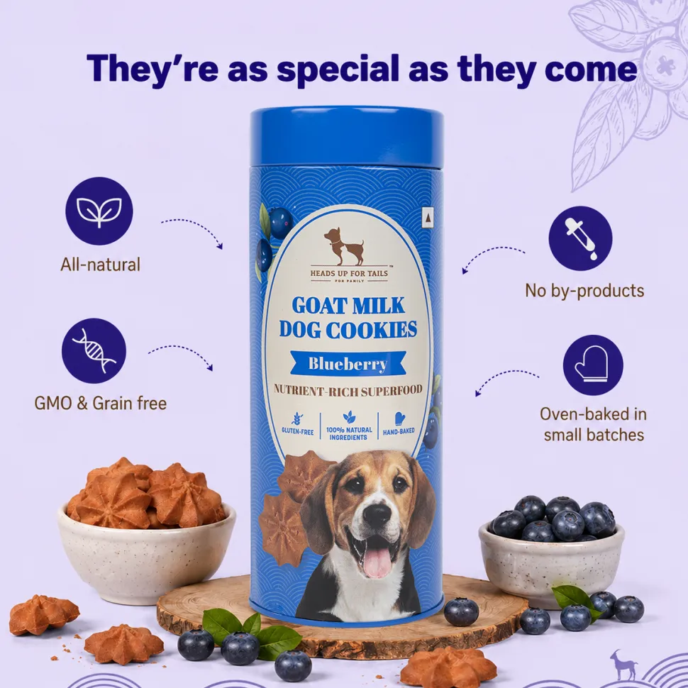 HUFT Ultimate Goat Milk Cookie Combo - 200 g Each