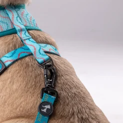 HUFT Verdant Reversible Printed Dog Harness