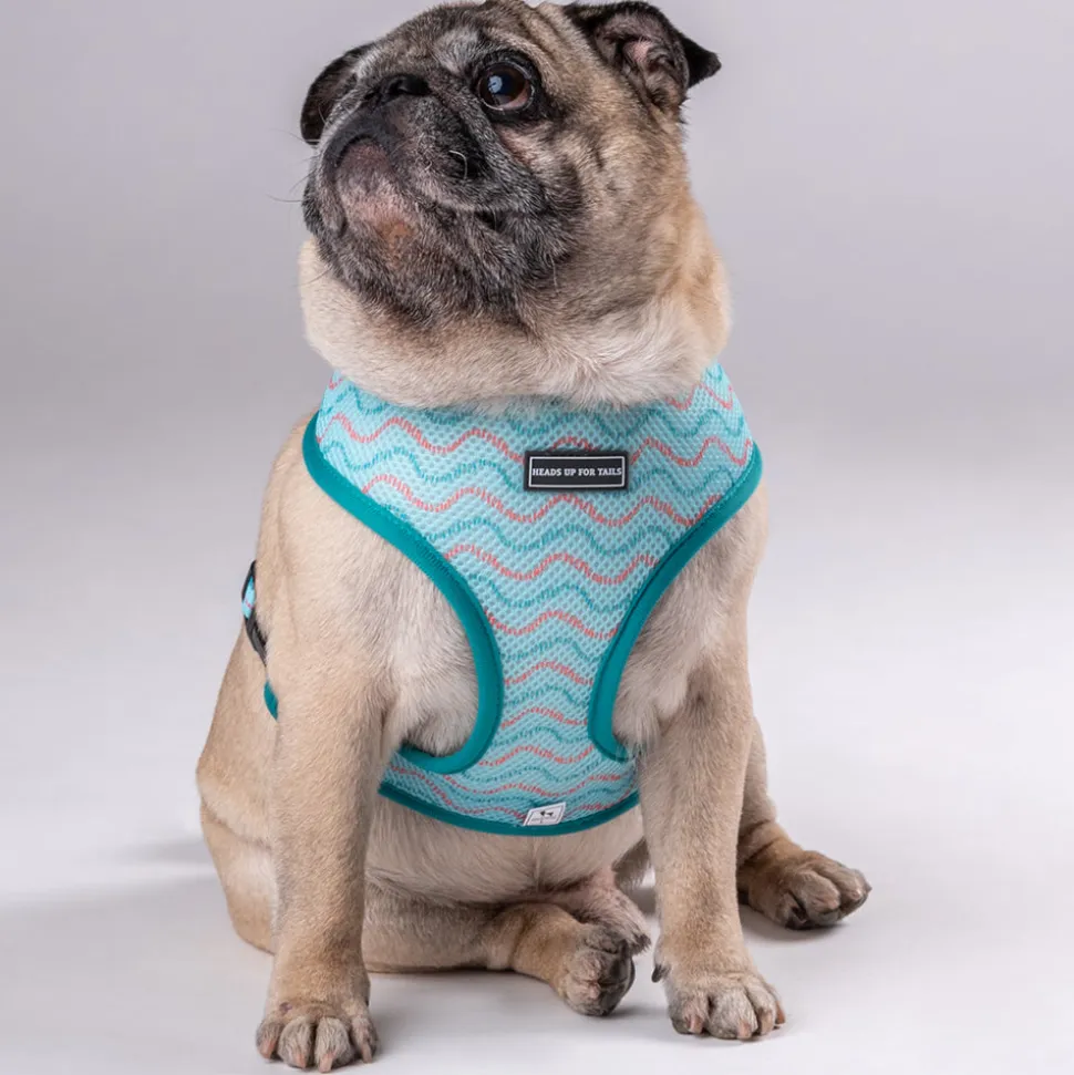 HUFT Verdant Reversible Printed Dog Harness