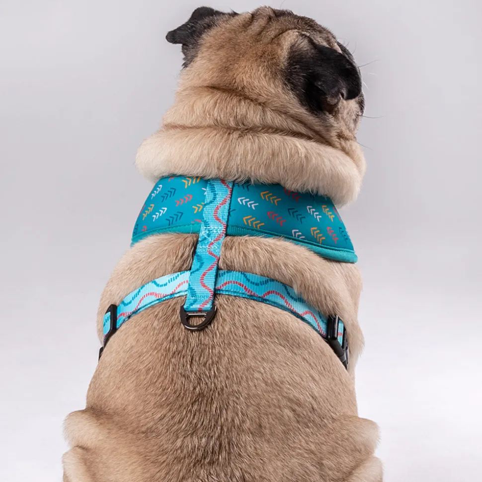 HUFT Verdant Reversible Printed Dog Harness