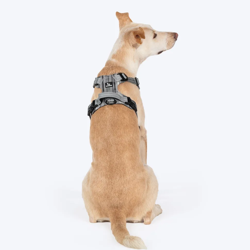 HUFT Walk Light Harness For Dog - Sterling Grey