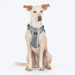 HUFT Walk Light Harness For Dog - Sterling Grey