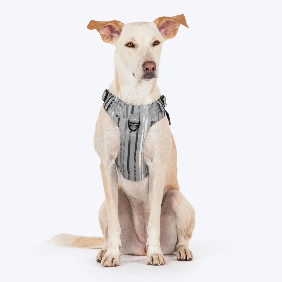 HUFT Walk Light Harness For Dog - Sterling Grey