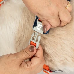 HUFT Walkmate Harness For Dog - Navy