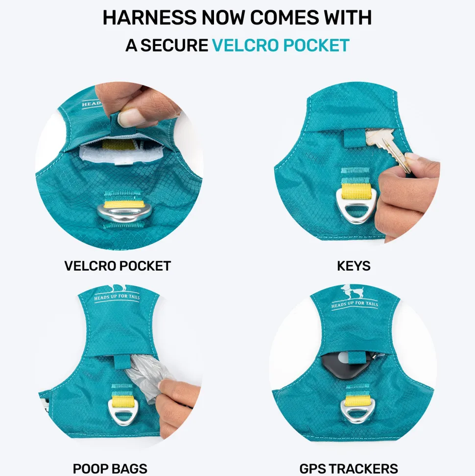 HUFT Walkmate Harness For Dog - Teal Green