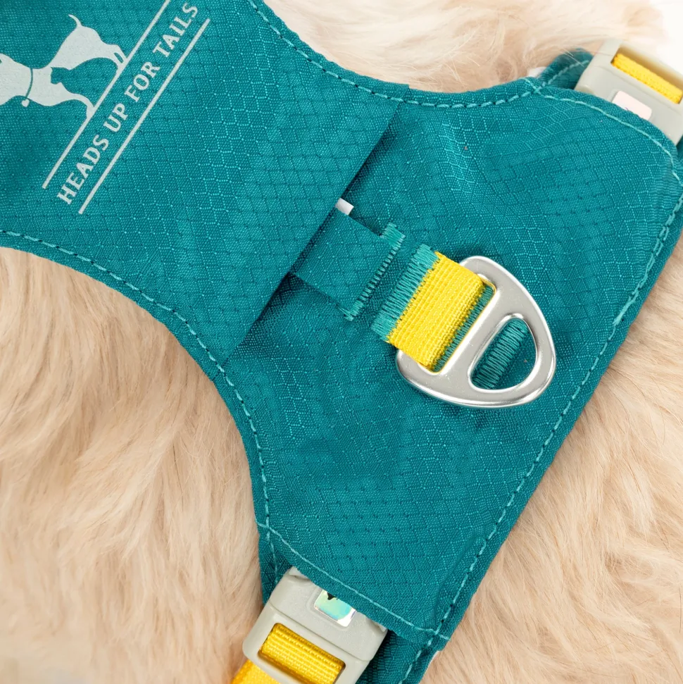 HUFT Walkmate Harness For Dog - Teal Green