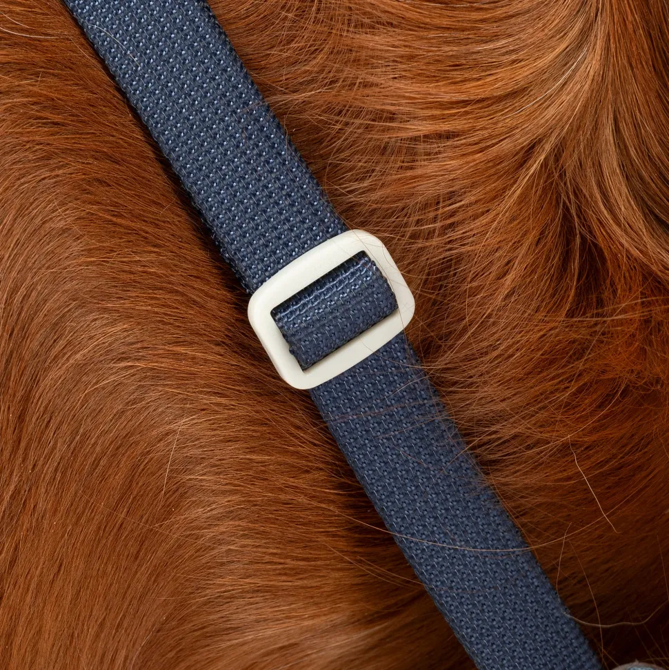 HUFT Walkmate Harness For Dog - Slate Blue