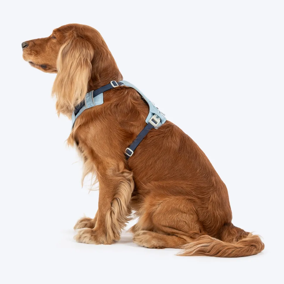 HUFT Walkmate Harness For Dog - Slate Blue