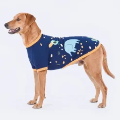 HUFT Wild One Printed T-Shirt For Dog - Navy Blue