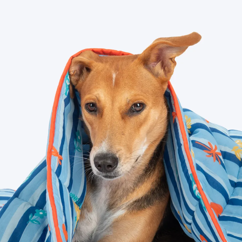 HUFT X Pinklay Strut In Stripes Blanket For Dog & Cat - Blue