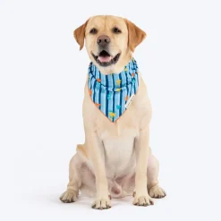 HUFT X Pinklay Strut In Stripes Knot Bandana For Dog - Blue & Orange
