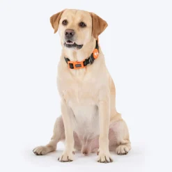 HUFT Xplorers Collar For Dog - Black