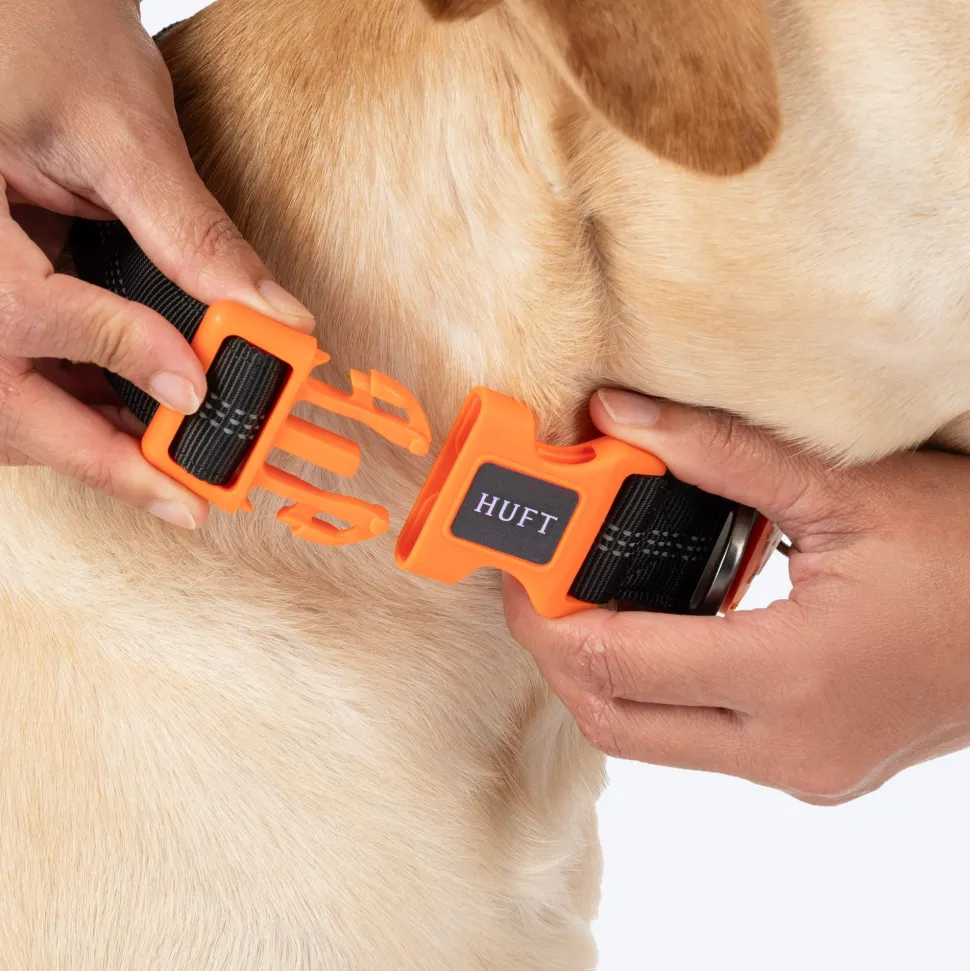 HUFT Xplorers Collar For Dog - Black