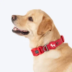 HUFT Xplorers Collar For Dog - Red