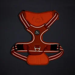 HUFT Xplorers Harness For Dog- Orange