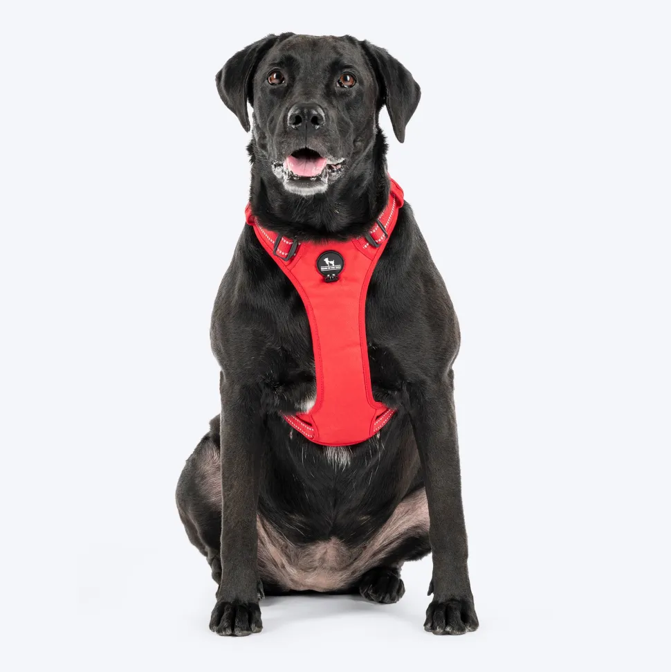 HUFT Xplorers Harness For Dog - Red