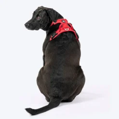 HUFT Xplorers Harness For Dog - Red