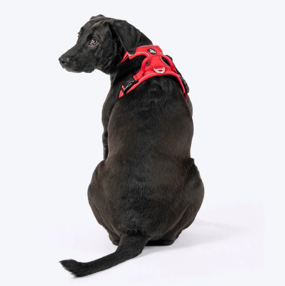 HUFT Xplorers Harness For Dog - Red