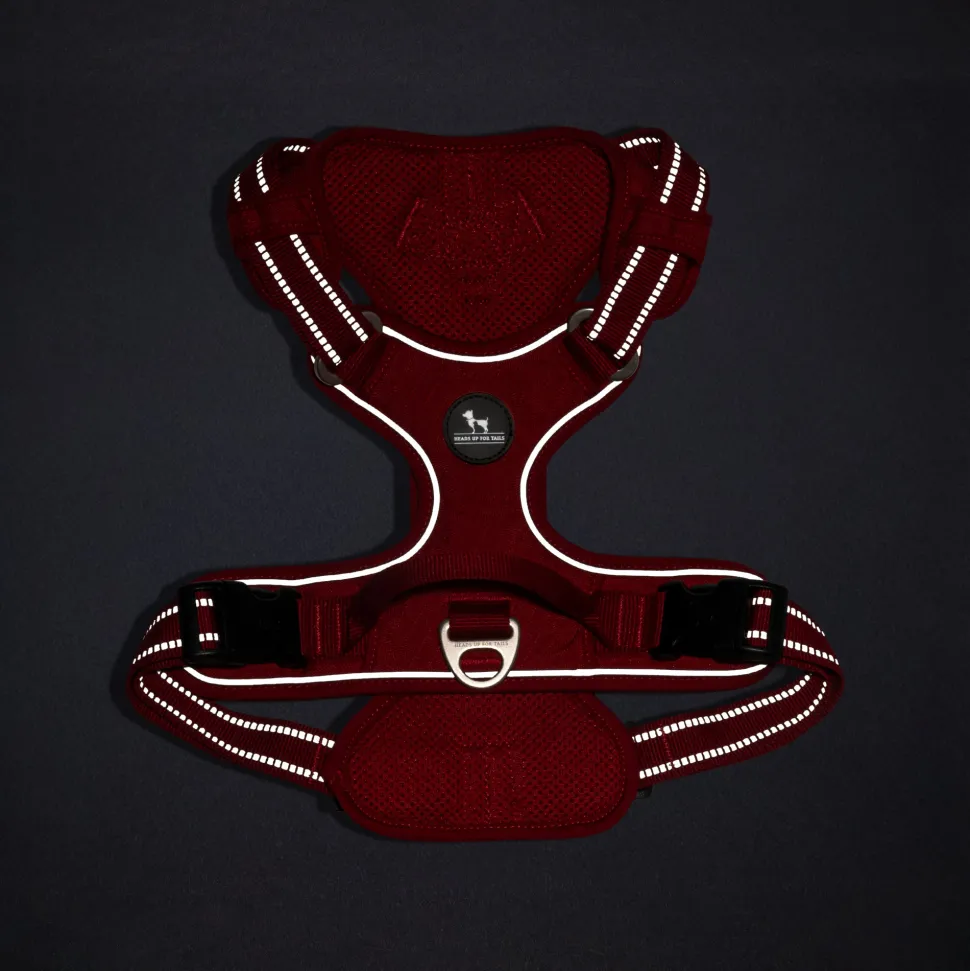 HUFT Xplorers Harness For Dog - Red