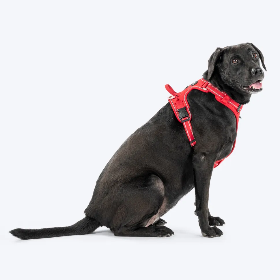 HUFT Xplorers Harness For Dog - Red