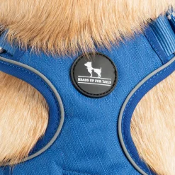 HUFT Xplorers Harness For Dog - Blue