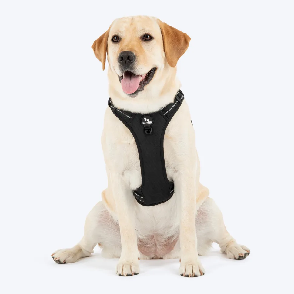 HUFT Xplorers Harness For Dog - Black