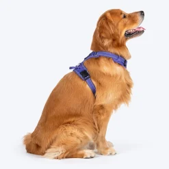 HUFT Xplorers Harness For Dog - Purple