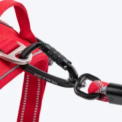 HUFT Xplorers Rope Leash With Carabiner For Dog - Red - 5 ft