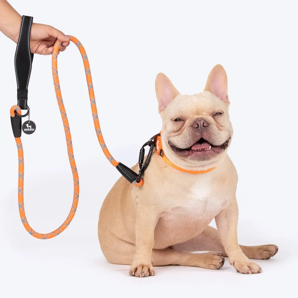 HUFT Xplorers Rope Leash With Carabiner For Dog - Orange - 5 ft