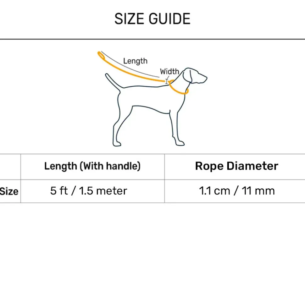 HUFT Xplorers Rope Leash With Carabiner For Dog - Blue - 5 ft