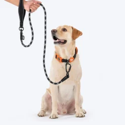 HUFT Xplorers Rope Leash With Carabiner For Dog - Black - 5 ft