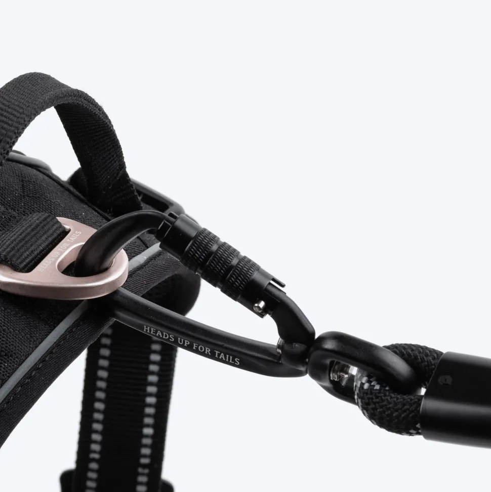 HUFT Xplorers Rope Leash With Carabiner For Dog - Black - 5 ft