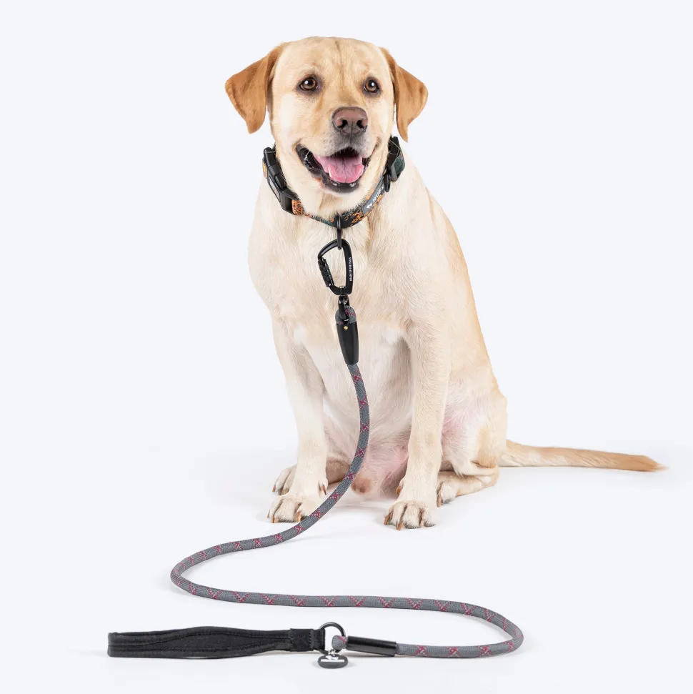 HUFT Xplorers Rope Leash With Carabiner For Dog - Grey - 5 ft