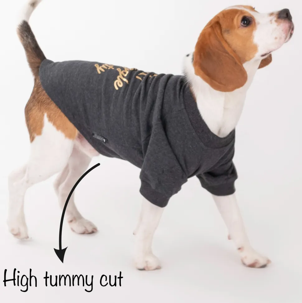 HUFT 24x7 Snuggle Duty Foil Print Pet Sweatshirt - Grey Melange
