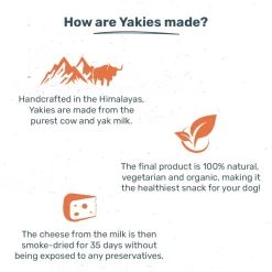 HUFT Yakies Vegetarian Natural Chew Bone - Turmeric