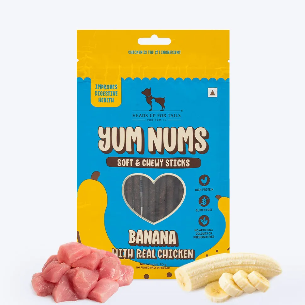 HUFT YumFusion Treat & Wet Food Combo: Banana & Chicken With Brown Rice Feast For Dogs