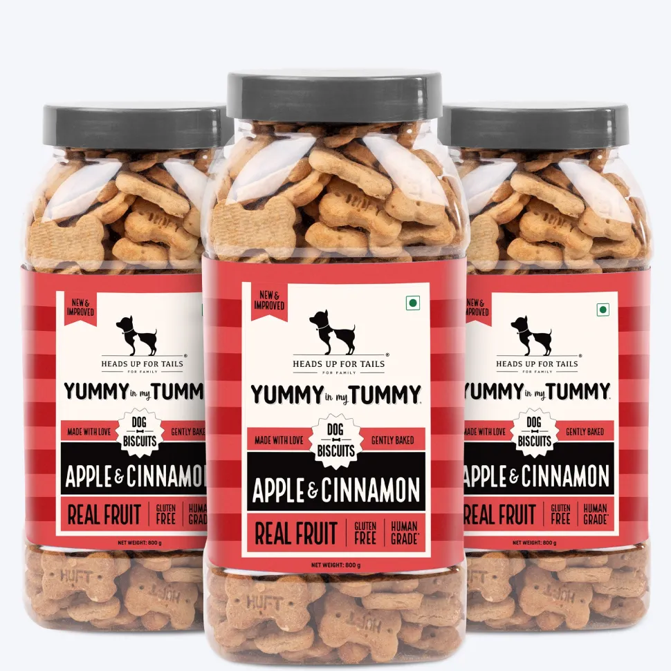 HUFT Yummy In My Tummy Apple & Cinnamon Vegetarian Gluten Free Dog Biscuit
